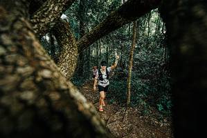 BIB: 
                            <button type="button" onclick="openModal(25667160)" class="btn btn-primary btn-sm float-right btn-popup" data-toggle="modal" data-target=".modal-high-quality">
                        <i class="fas fa-shopping-cart"></i> Add to Cart
                    </button>
                                            <button type="button" onclick="isThisMe(25667160, true)" class="btn btn-success btn-sm float-right btn-popup btn-isme hidden" data-toggle="tooltip" data-placement="bottom" title="นี่คือรูปของคุณใช่ไหม คลิกที่นี่เพื่อเอาเข้าอัลบั้ม">
                        <i class="fas fa-plus"></i> Add to album
                    </button>
                    <button type="button" onclick="isThisMe(25667160, false)" class="btn btn-warning btn-sm float-right btn-popup btn-isnotme hidden">
                        <i class="fas fa-ban"></i> Remove from album
                    </button>